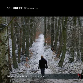 Schubert, Die Winterreise by Markus Schäfer