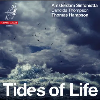 Tides of Life by Candida Thompson