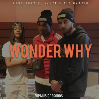 Wonder Why by Gio Martin