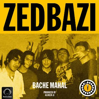 Bache Mahal by Zedbazi