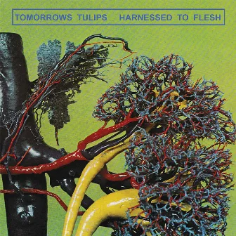 Harnessed To Flesh by Tomorrows Tulips