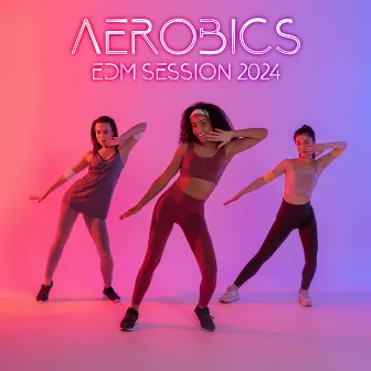 Aerobics EDM Session 2024: Mix for Fitness and 130 BPM Workout by Dj Dub FX