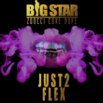 Just 2 Flex by Big Star