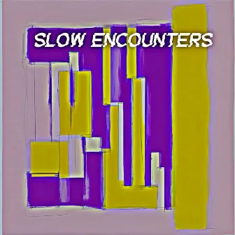 Slow Encounters by Mary Malone