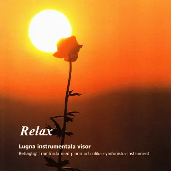 Relax - Lugna Instrumentala Visor by Karin Krest