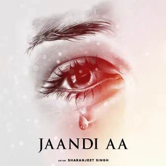 Jaandi Aa by Sharanjeet Singh