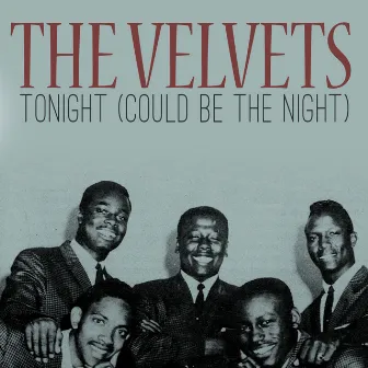 Tonight (Could Be the Night) by The Velvets