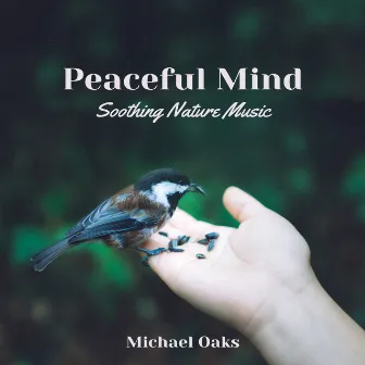 Peaceful Mind (Soothing Nature Music) by Michael Oaks