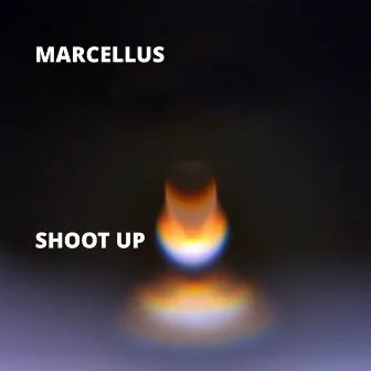 Shoot Up by Marcellus