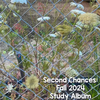 Second Chances: Fall 2024 Study Album by Unknown Artist