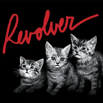 Revolver by Revolver