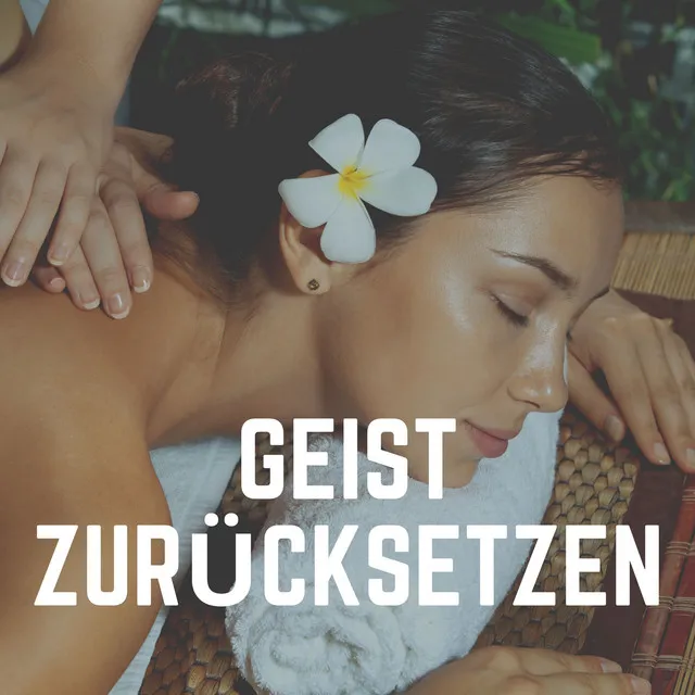 Geist Zurücksetzen