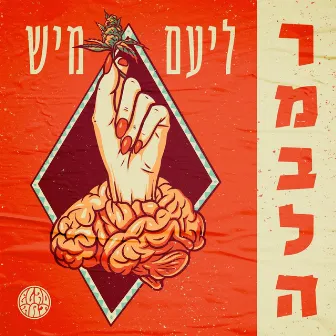 רמבלה by ליעם חכמון