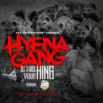 Is This Your King (Year Of The Hyena) by Mafia