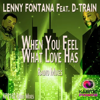 When You Feel What Love Has (Radio Mixes) by Lenny Fontana