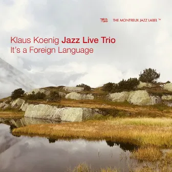 It's A Foreign Language by Klaus Koenig Jazz Live Trio