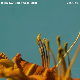 K.I.S.S.I.N.U. by grooveman Spot