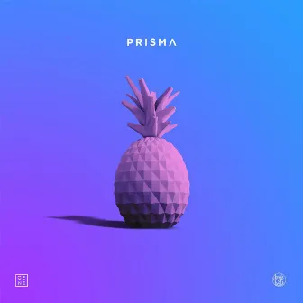 Prisma by Jungle Beats