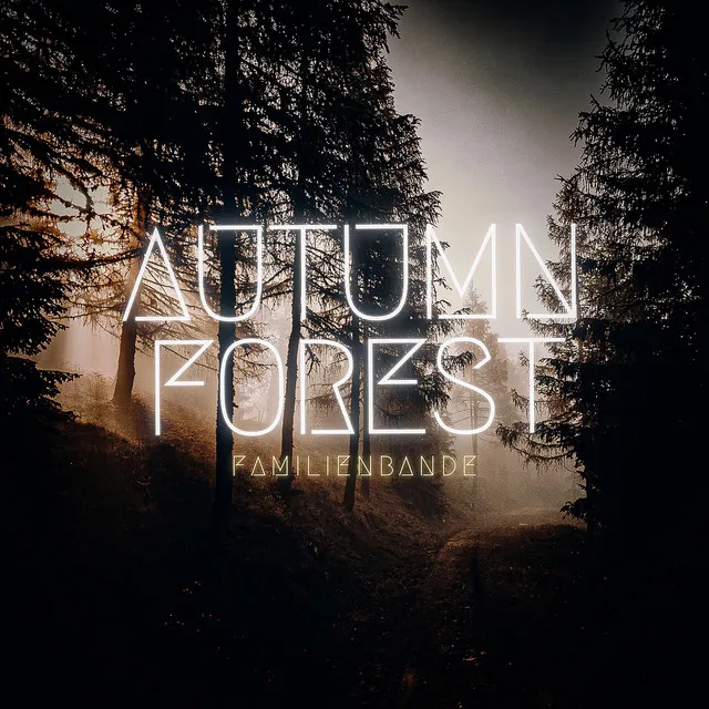 Autumn Forest