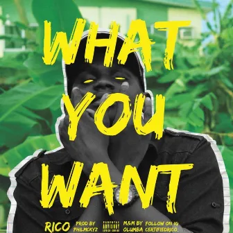 What You Want by Rico