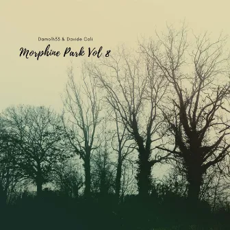 Morphine Park Vol 8 by Davide Cali