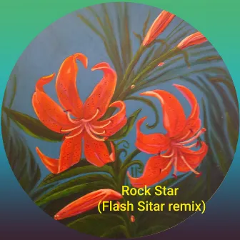 Rock Star (Remix) by Flash Sitar