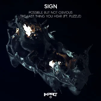 Possible But Not Obvious / The Last Thing You Hear by Sign