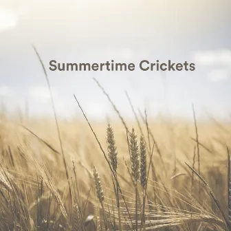 Summertime Crickets by Reclaiming Nature