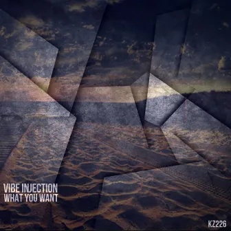 What You Want by Vibe Injection