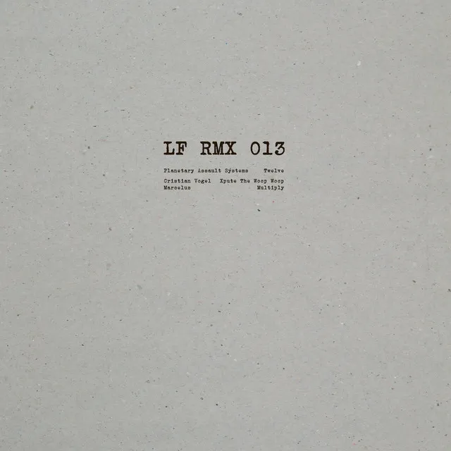 LF RMX 013