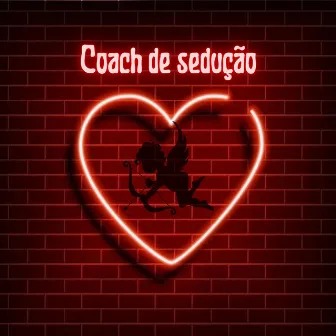 Coach de Sedução by Allison Pires