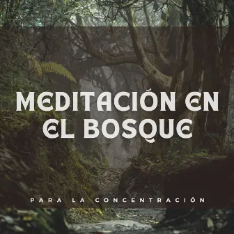 Meditación en el Bosque para la Concentración by Música meditativa