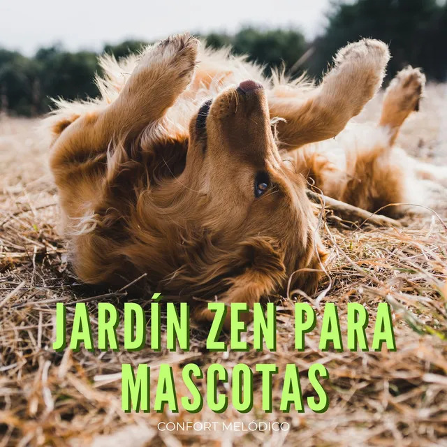 Jardín Zen Para Mascotas: Confort Melódico