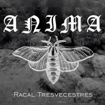 Anima by Racal Tresvecestres