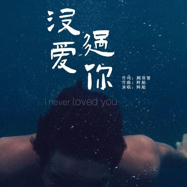 没爱过你