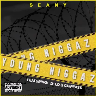 Young Niggaz by Seany