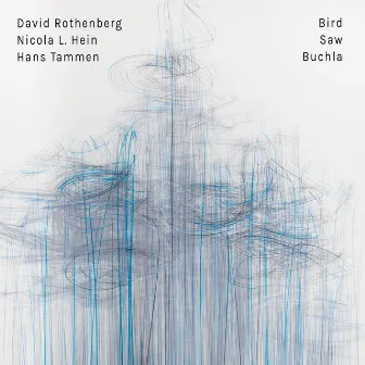 Bird Saw Buchla by Nicola L. Hein