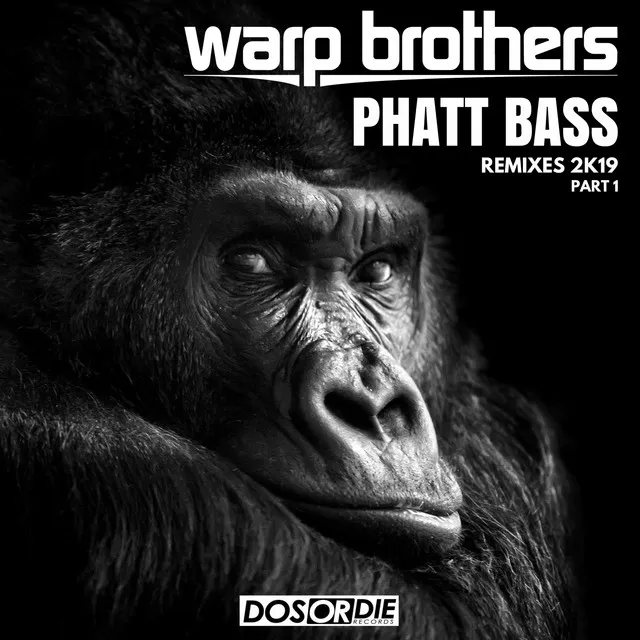 Phatt Bass - David Novacek Extended Remix