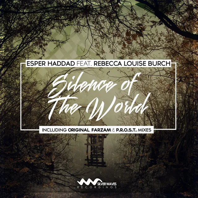 Silence of The World - Original Mix