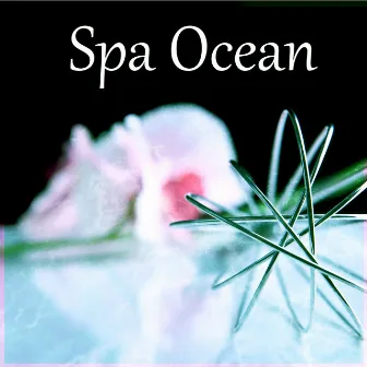 Spa Ocean – Beautiful Moments, Intimate Moments, Sensual Massage Music for Aromatherapy, Amazing Home Spa, Relax Yourself by Only Imagine Meditation Universe