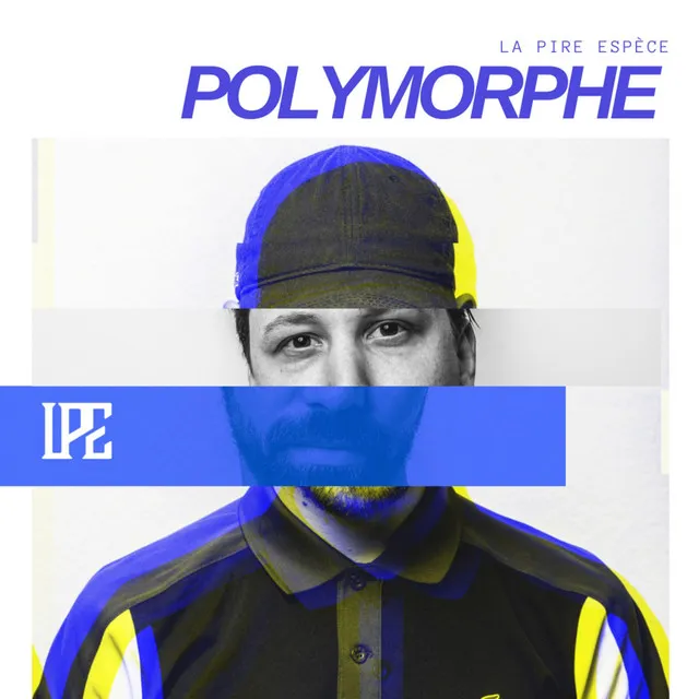 Polymorphe