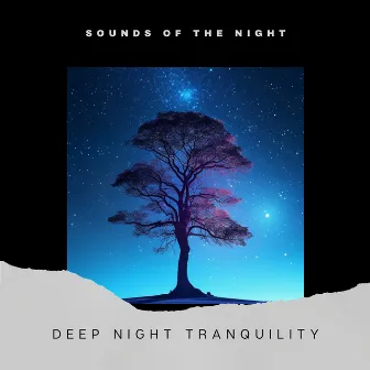 Deep Night Tranquility by Sounds of the Night