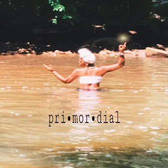 primordial - (EP) by Amber7eaven