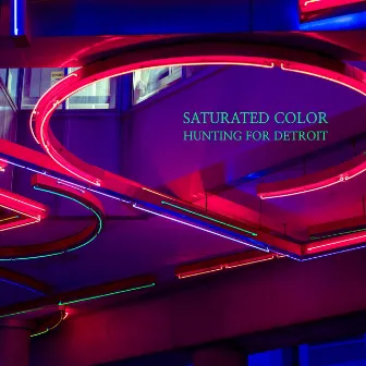 Hunting for Detroit by Saturated Color