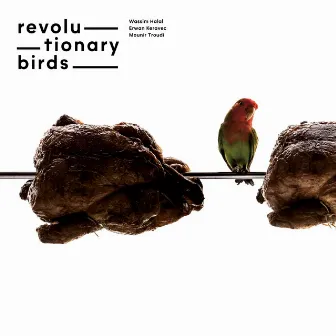 Revolutionary Birds by Mounir Troudi