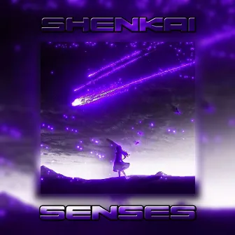 SENSES by Shenkai