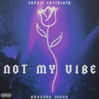 Not My Vibe by Sophie Castriota