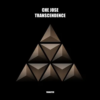 Transcendence by Che Jose