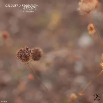 Atomic EP by Calogero Terranova