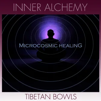 Microcosmic Healing by Inner Alchemy